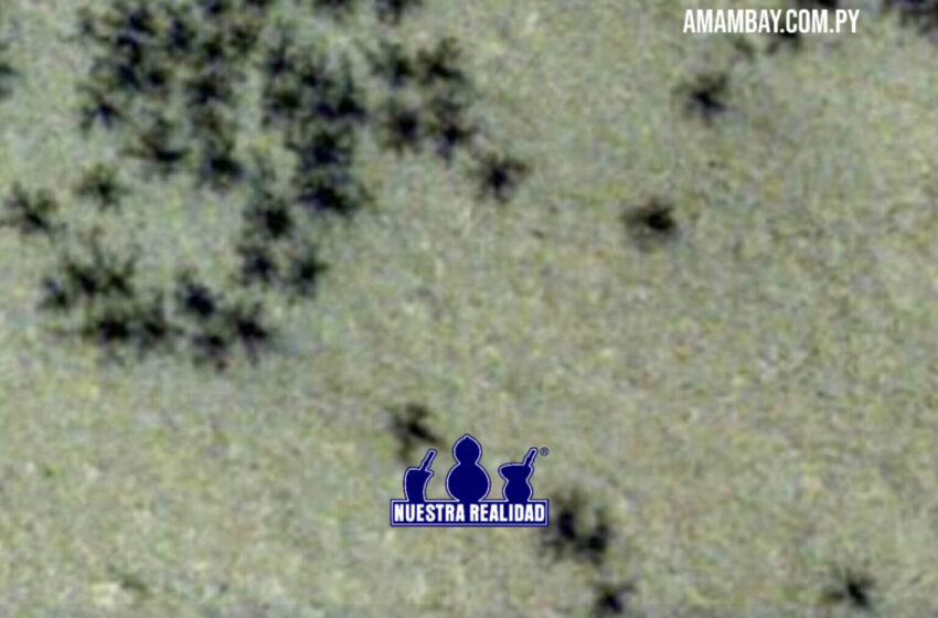  Hallan espeluznantes ‘arañas’ en la superficie de Marte