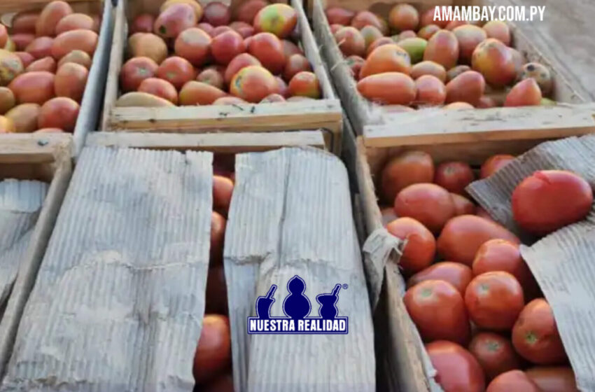  Yby Yaú: Decomisan frutas y verduras presumiblemente de contrabando