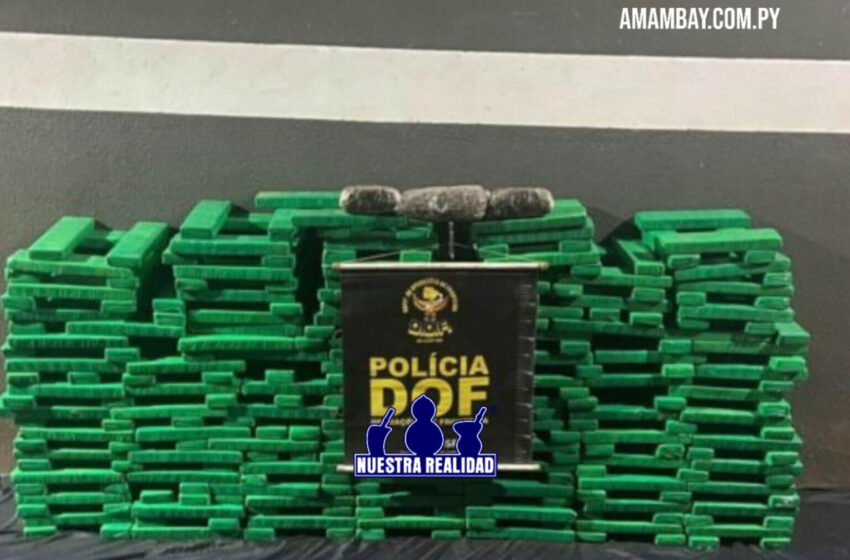  DOF apreende mais de 300 quilos de drogas em Antônio João